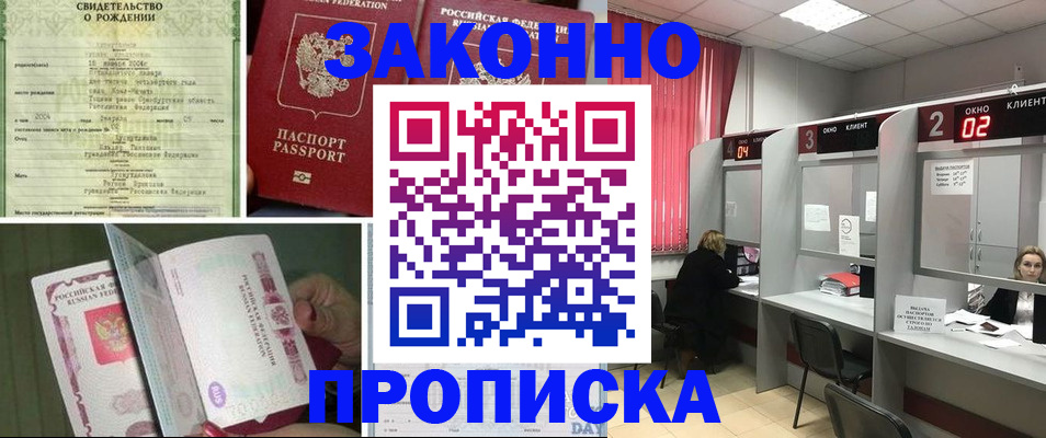 прописка в квартире в Бердске